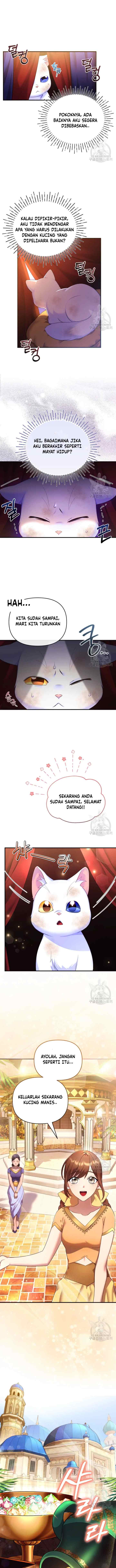 Became The Sultan's Favorite Cat chapter 2 halaman 11