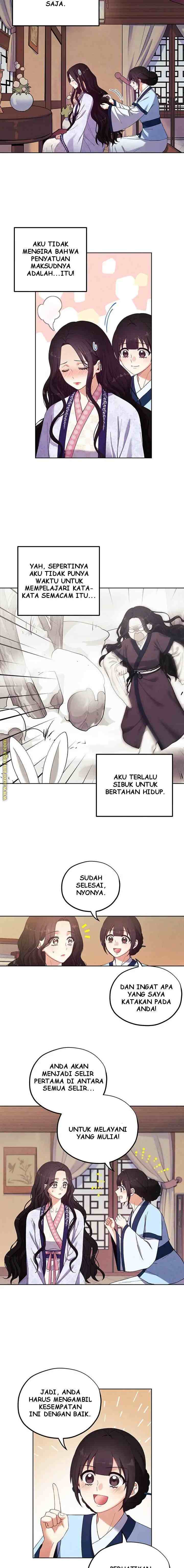 Elixir of the Sun chapter 31 halaman 11
