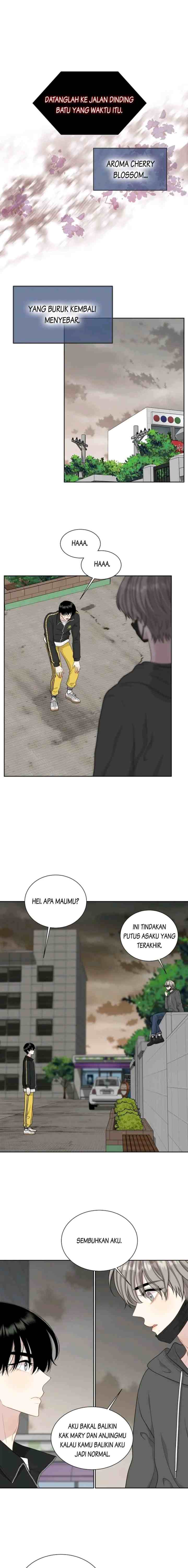 Should I Not Tell? chapter 97 halaman 7