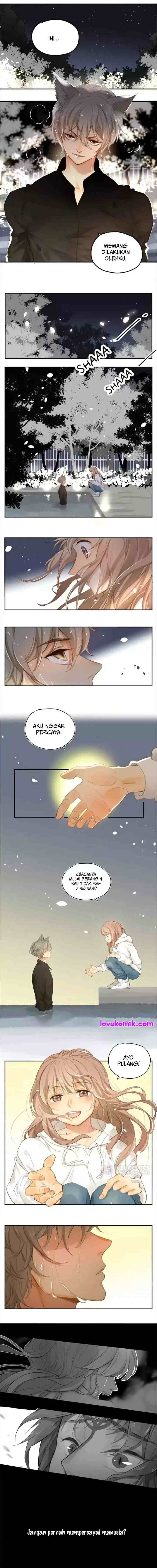 A World Ruled By Cats chapter 62 halaman 4