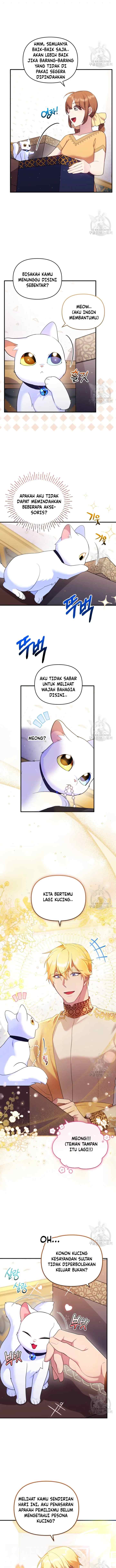 Became The Sultan's Favorite Cat chapter 9 halaman 5