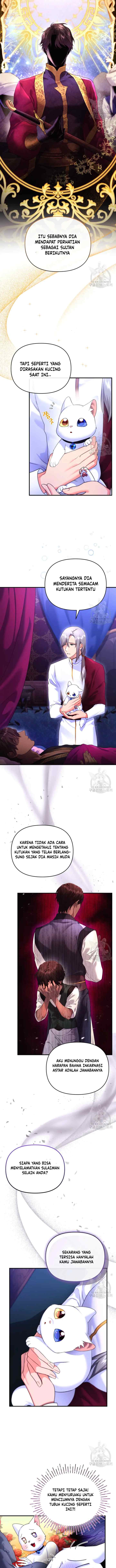 Became The Sultan's Favorite Cat chapter 4 halaman 4