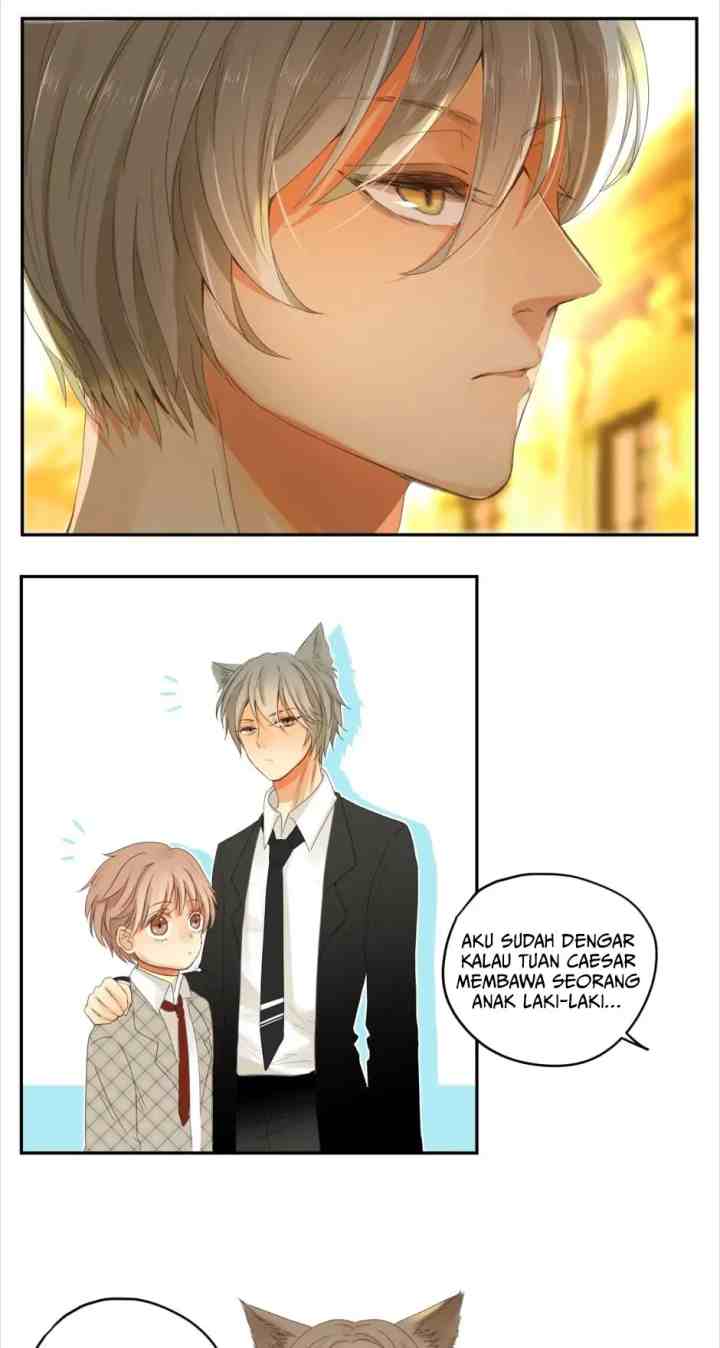 A World Ruled By Cats chapter 40 halaman 14