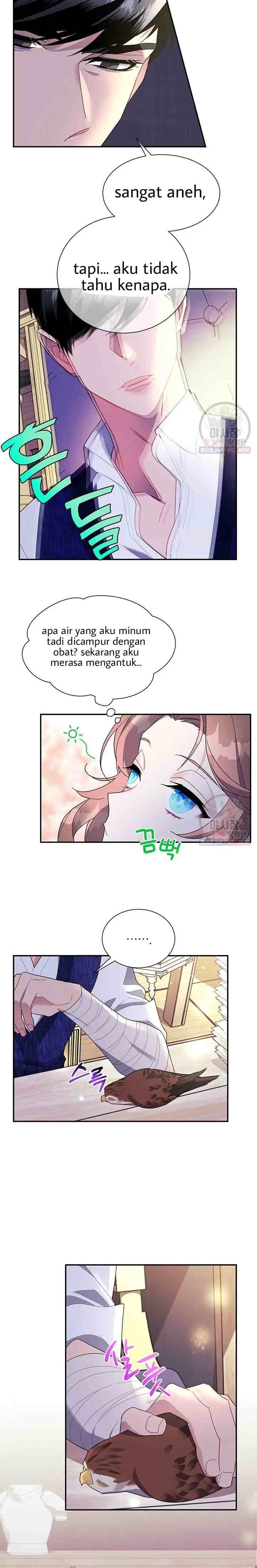 Cavier Falcon Princess chapter 17 halaman 19