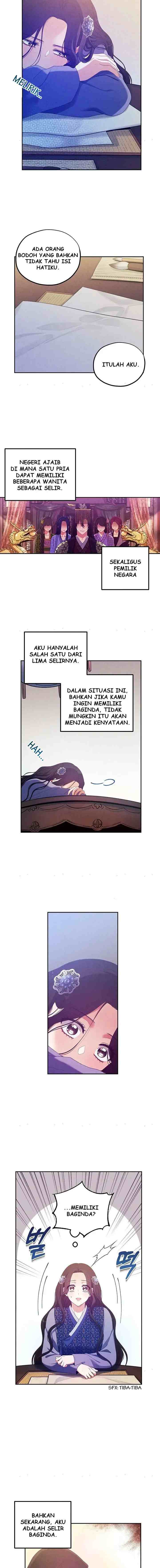 Elixir of the Sun chapter 44 halaman 12