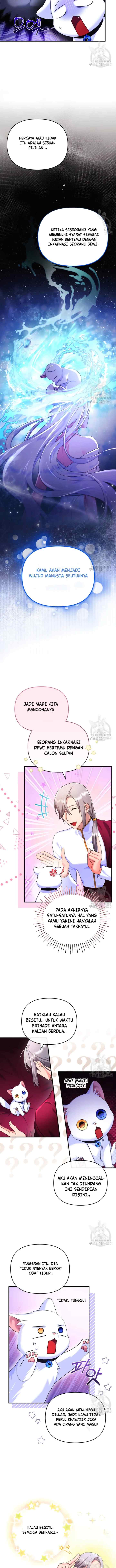 Became The Sultan's Favorite Cat chapter 4 halaman 5