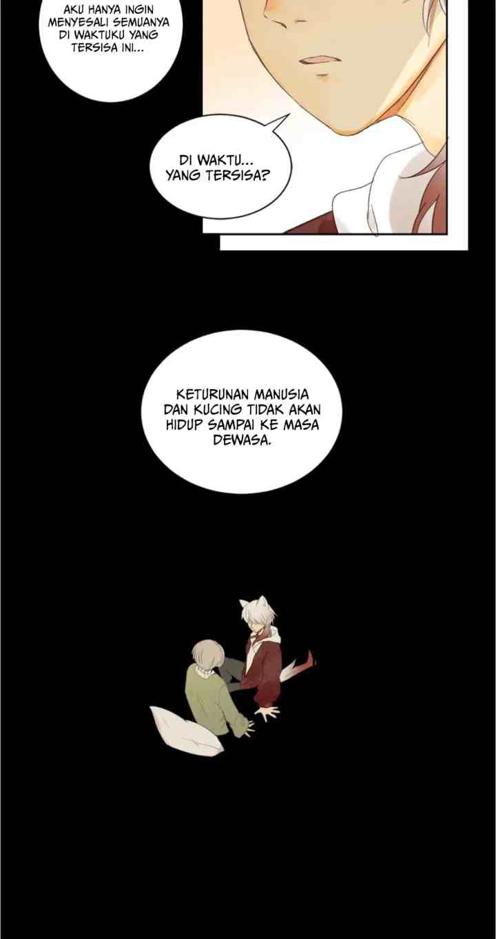A World Ruled By Cats chapter 58 halaman 17