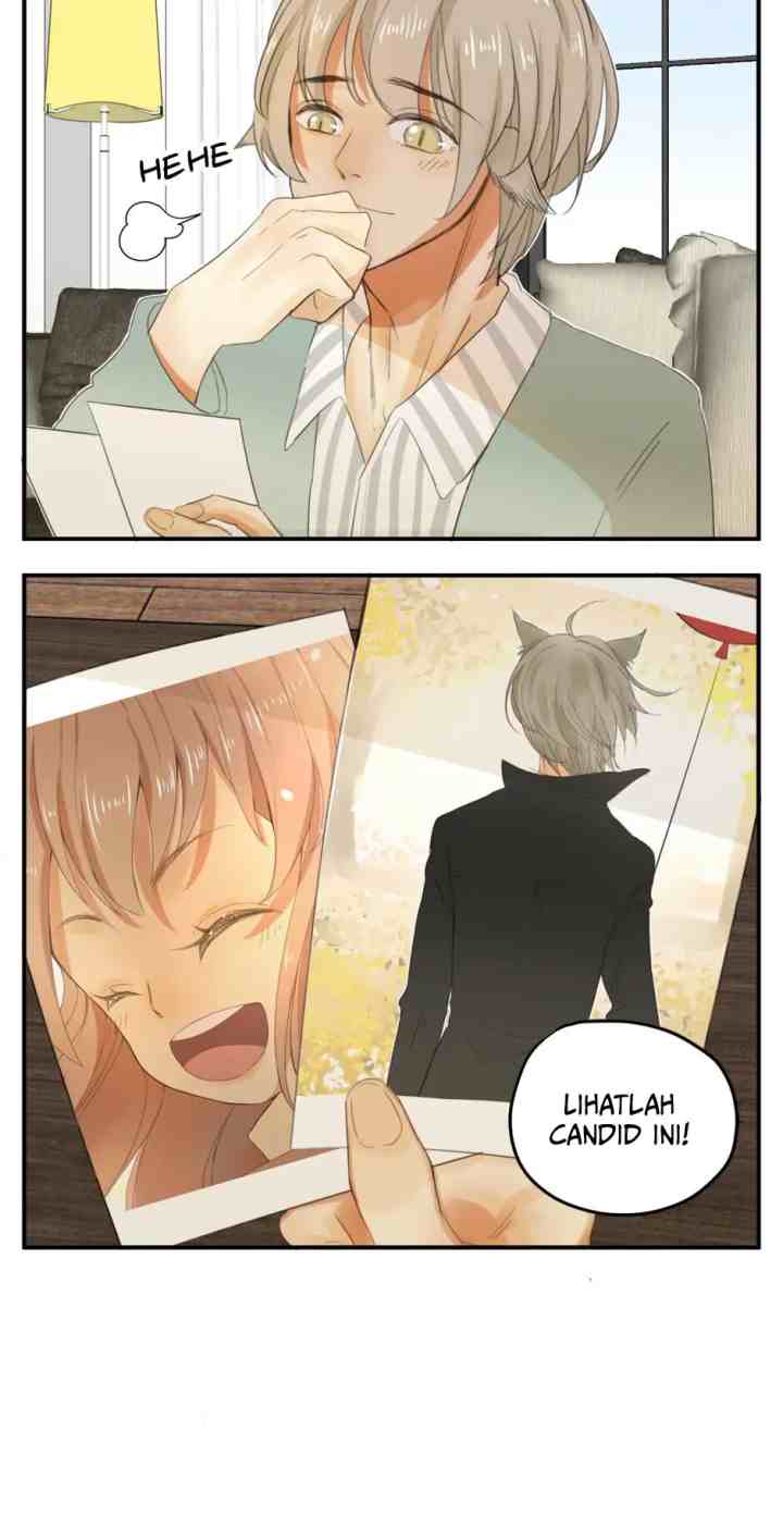 A World Ruled By Cats chapter 38 halaman 16