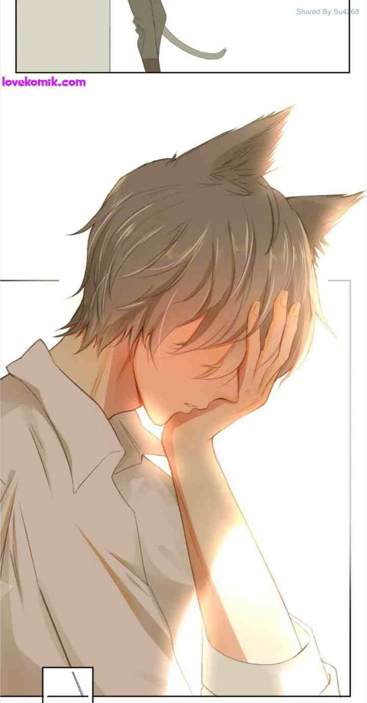 A World Ruled By Cats chapter 47 halaman 8
