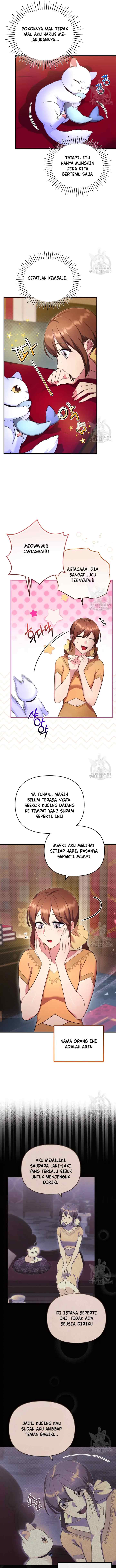 Became The Sultan's Favorite Cat chapter 6 halaman 8