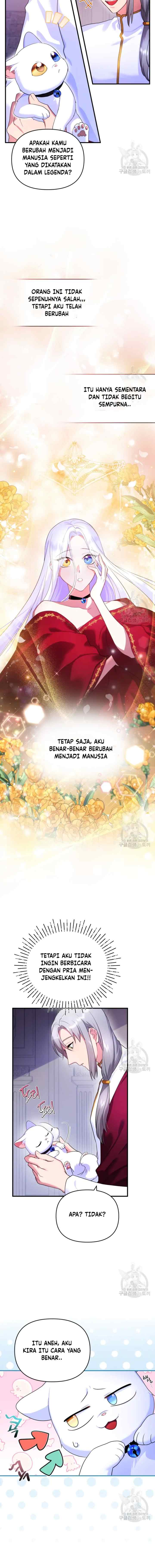 Became The Sultan's Favorite Cat chapter 5 halaman 7