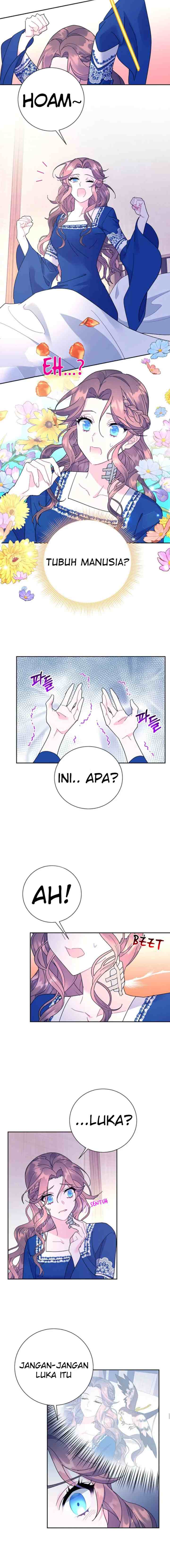 Cavier Falcon Princess chapter 39 halaman 7