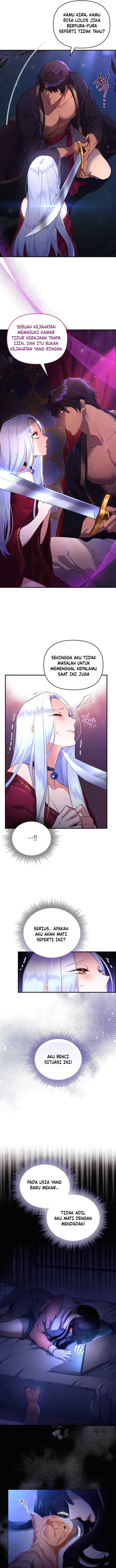 Became The Sultan's Favorite Cat chapter 1 halaman 8