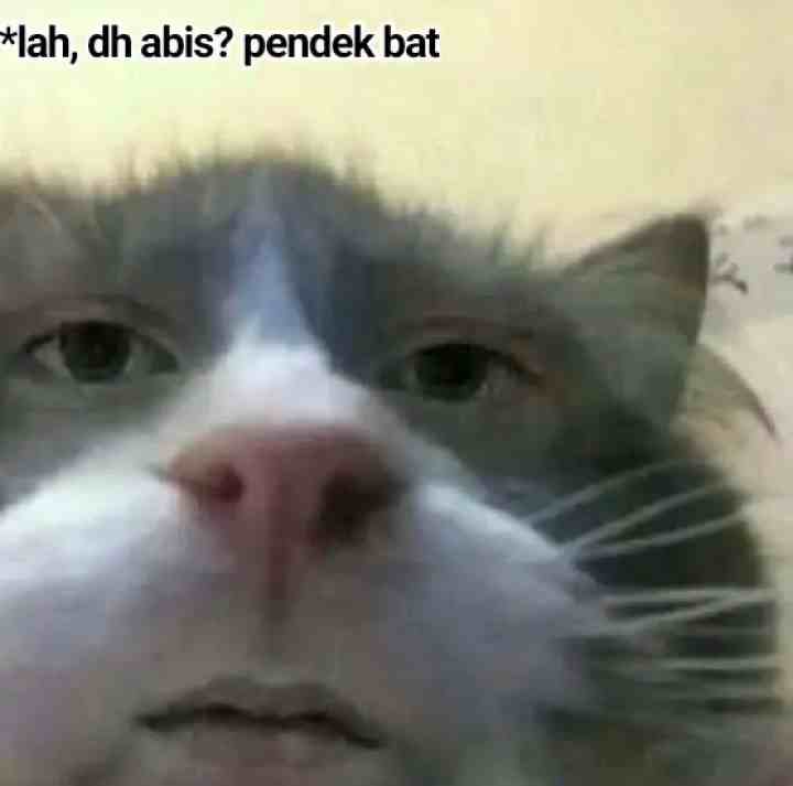 Dear My Hunny Bunny chapter 13 halaman 12