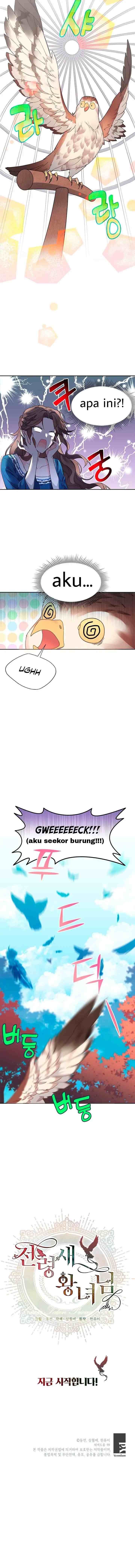 Cavier Falcon Princess chapter 1 halaman 12