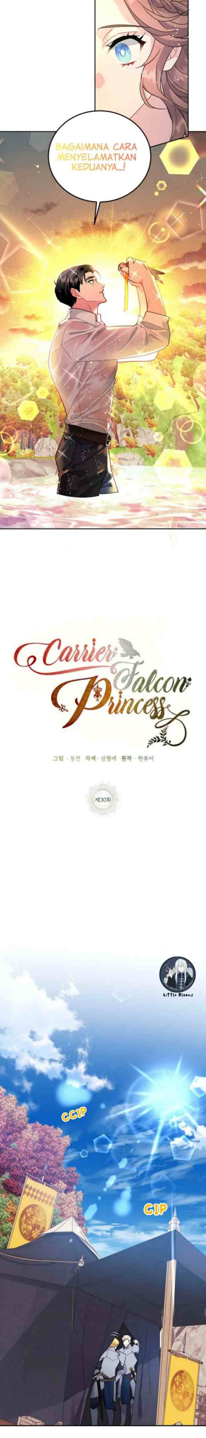 Cavier Falcon Princess chapter 30 halaman 11
