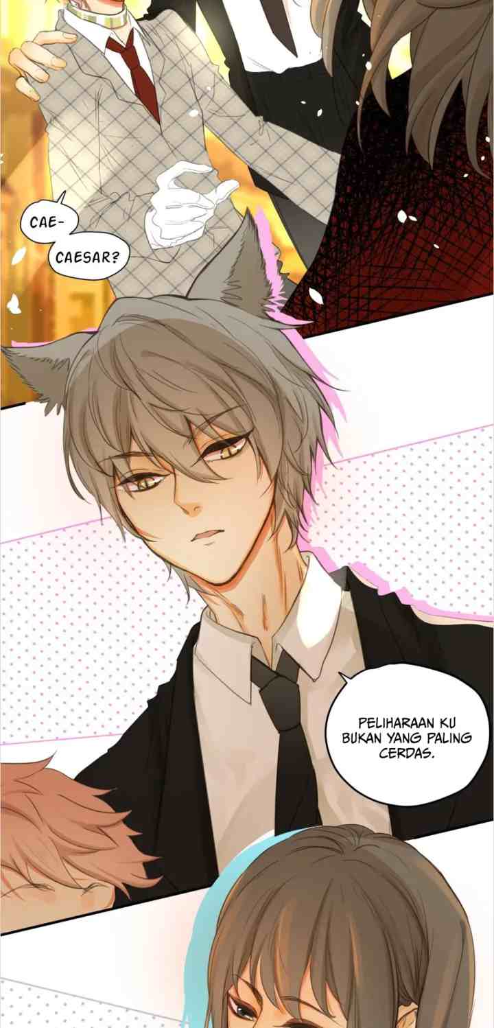 A World Ruled By Cats chapter 44 halaman 7