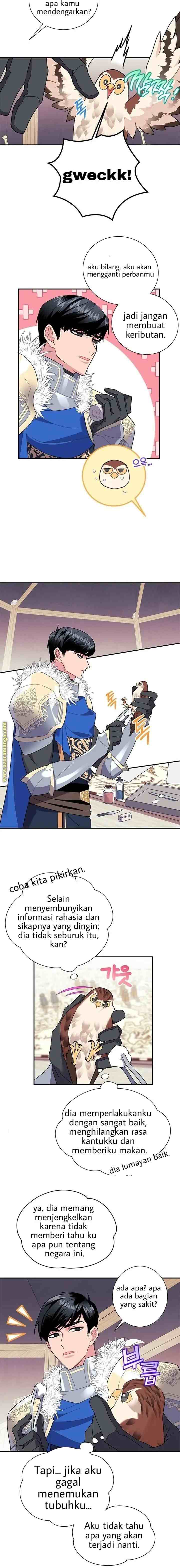 Cavier Falcon Princess chapter 20 halaman 5