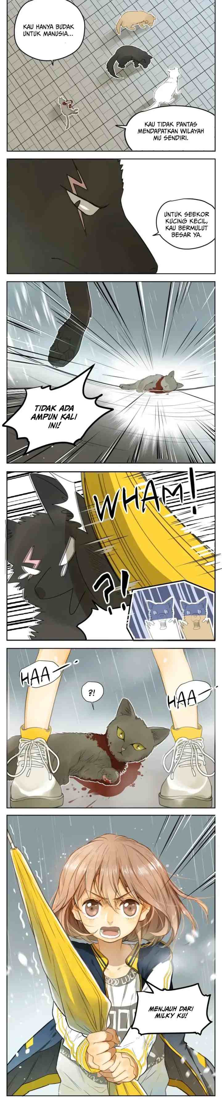 A World Ruled By Cats chapter 25 halaman 8