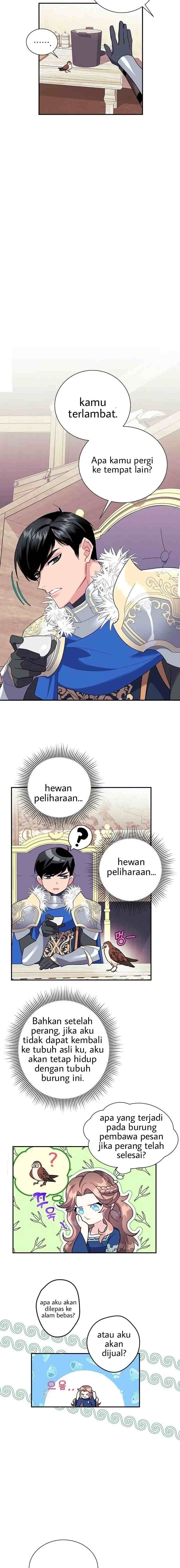 Cavier Falcon Princess chapter 20 halaman 4