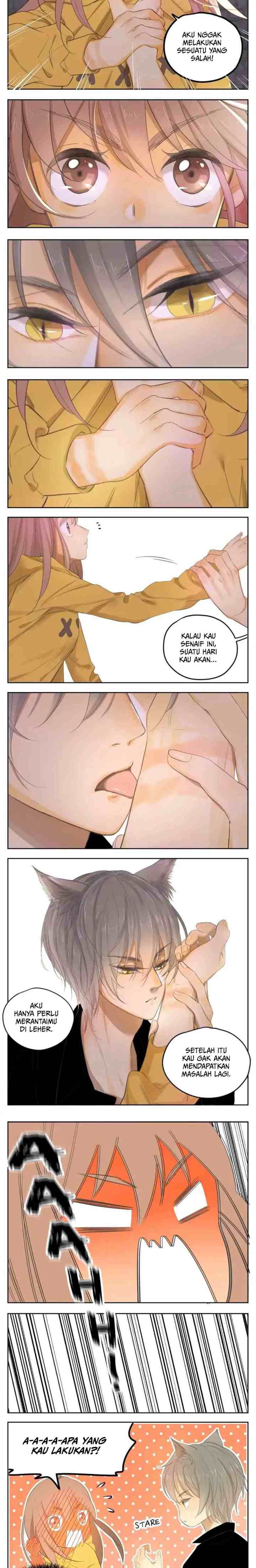 A World Ruled By Cats chapter 21 halaman 4