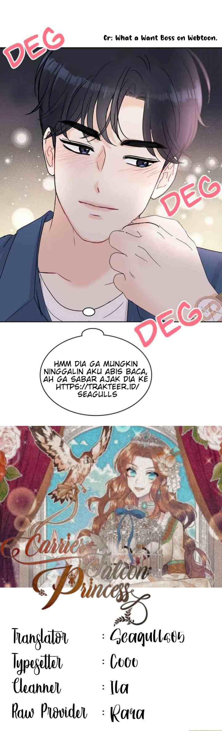 Cavier Falcon Princess chapter 47 halaman 17