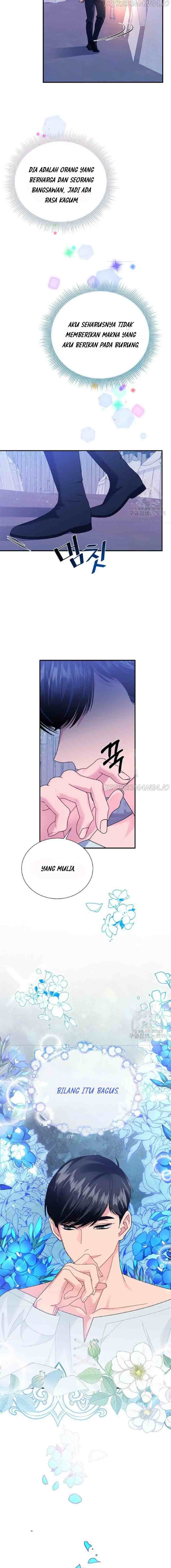 Cavier Falcon Princess chapter 62 halaman 10