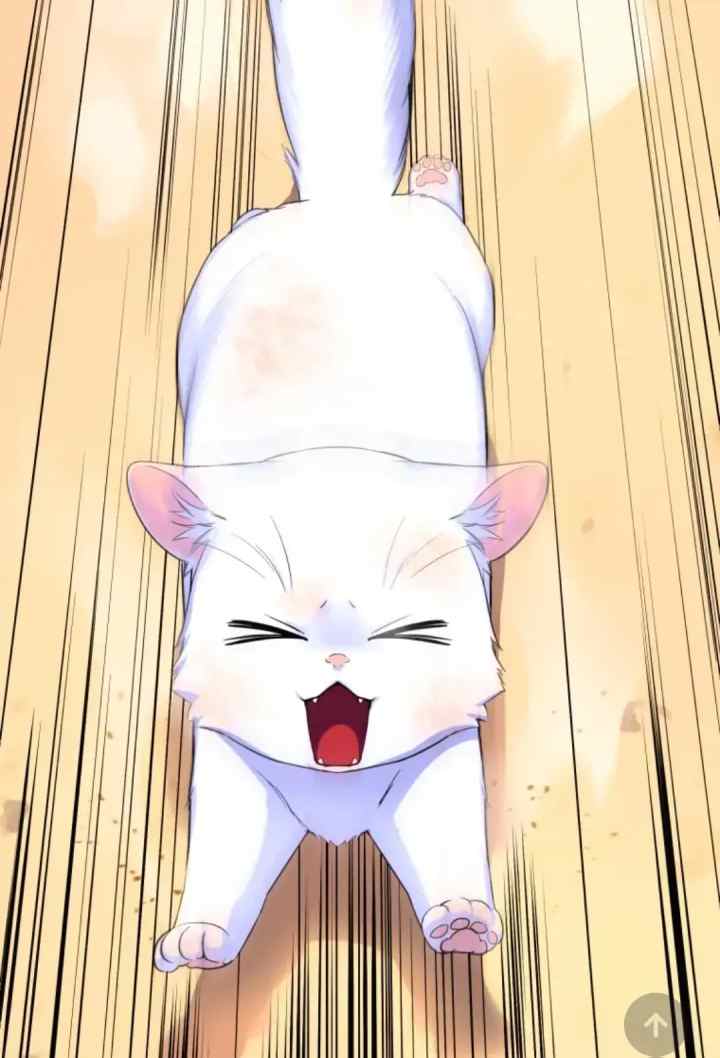 Became The Sultan's Favorite Cat chapter 0 halaman 7