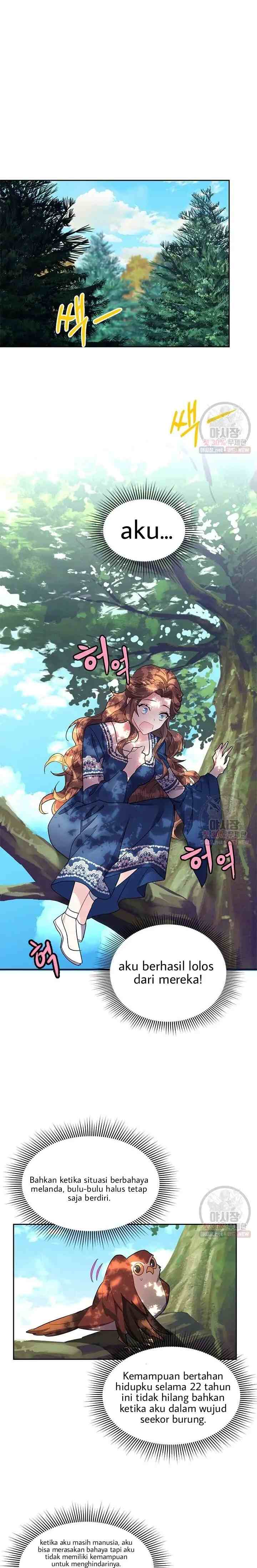 Cavier Falcon Princess chapter 7 halaman 9