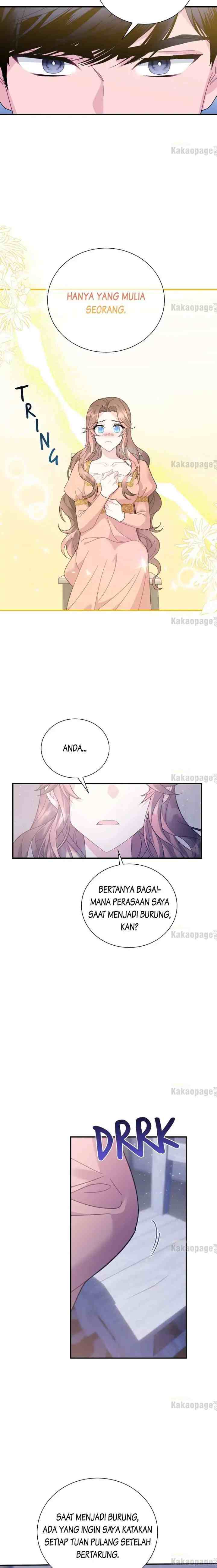 Cavier Falcon Princess chapter 71 halaman 6