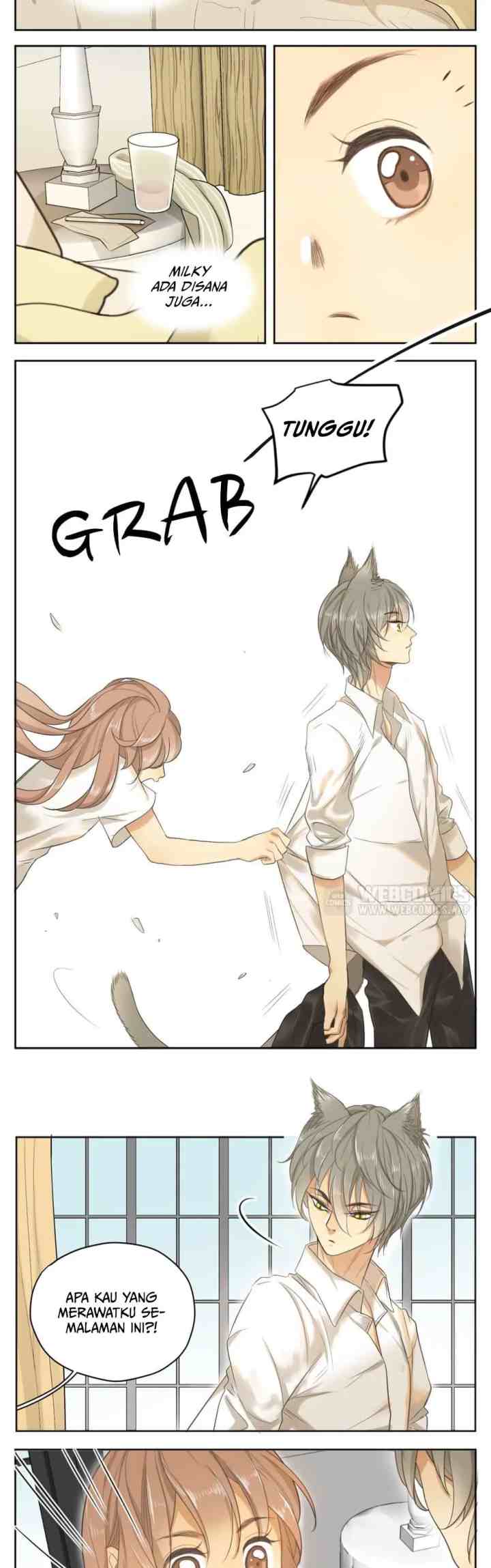 A World Ruled By Cats chapter 16 halaman 7