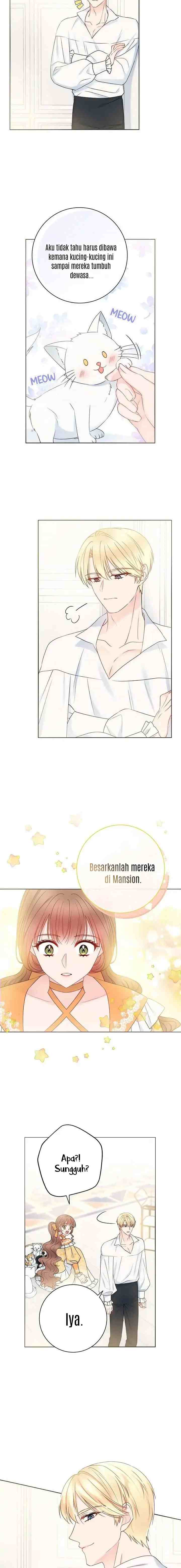 Sickly? Husband's Contractual Wife chapter 35 halaman 5